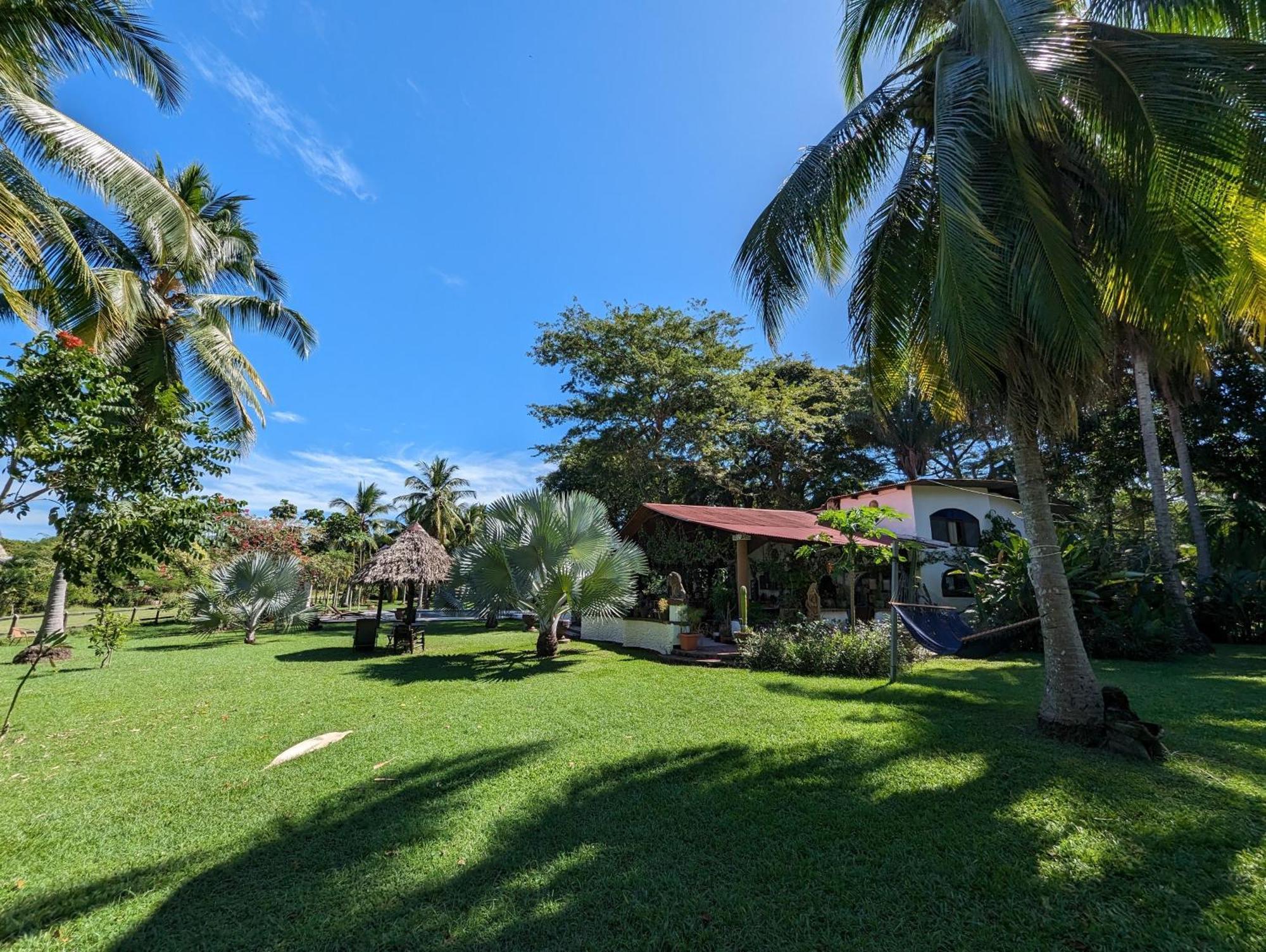Spirit Of Jungle Lodge Sámara Εξωτερικό φωτογραφία